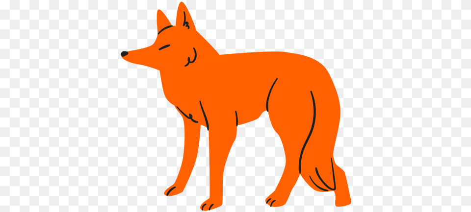 Flat Orange Fox Raposa Laranja, Animal, Coyote, Mammal, Canine Png