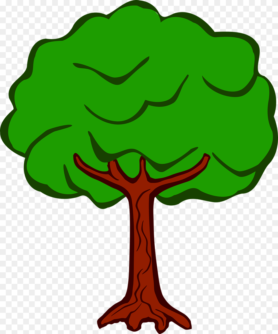 Flat Rock Brook, Plant, Tree, Green, Person Free Png