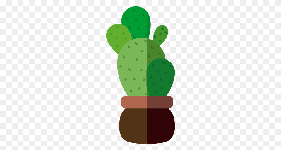 Flat Rounded Cactus Pot Illustration, Plant Png Image