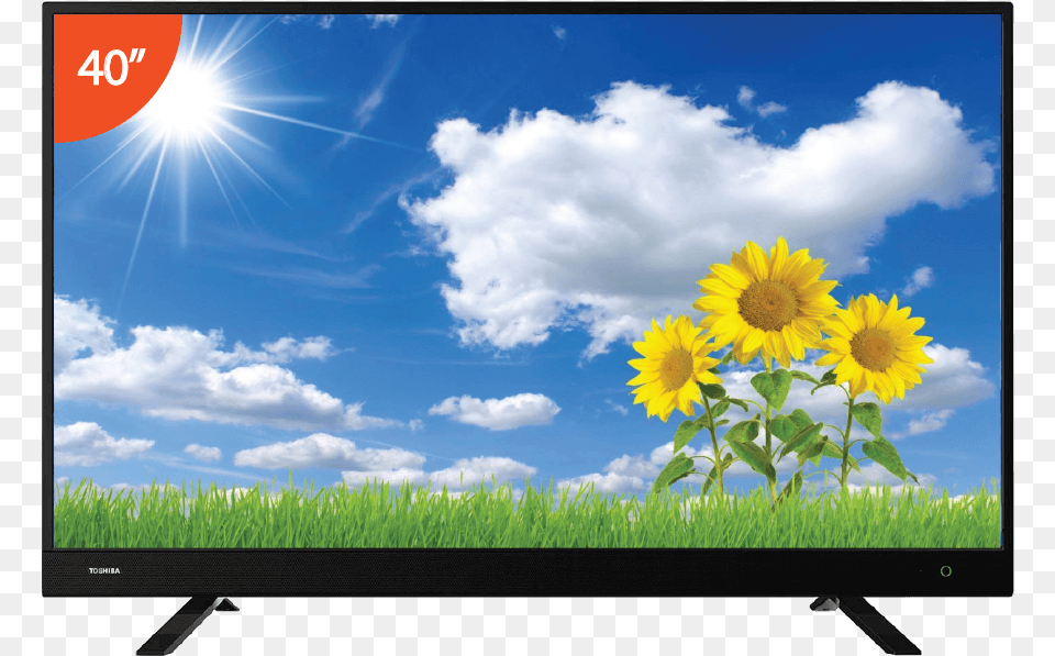 Flat Screen Tv Wall, Computer Hardware, Monitor, Hardware, Electronics Free Transparent Png