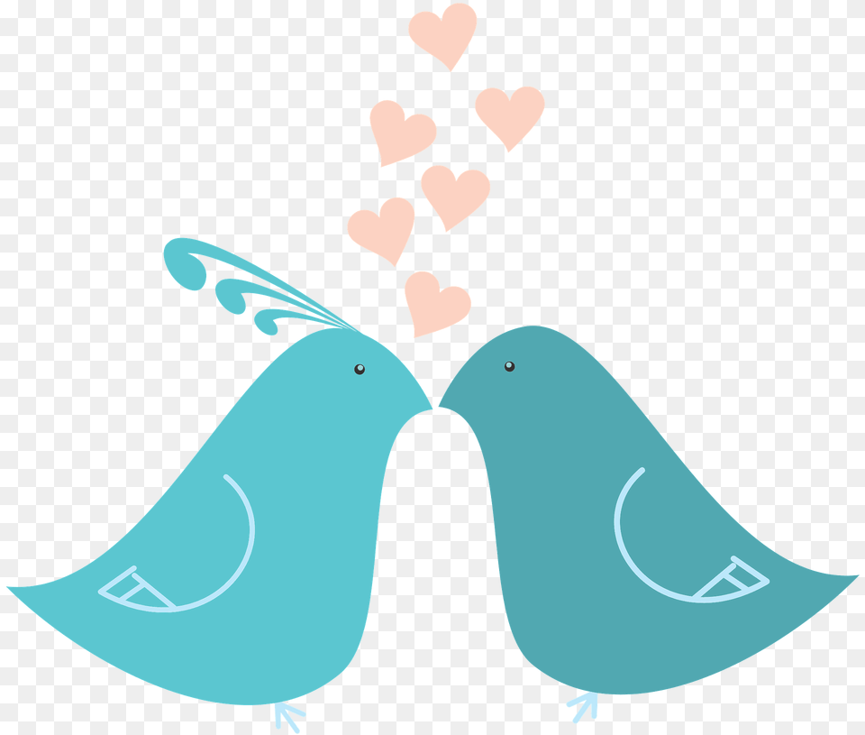 Flat Shaded Love Birds Clipart, Art, Graphics, Animal, Bird Png