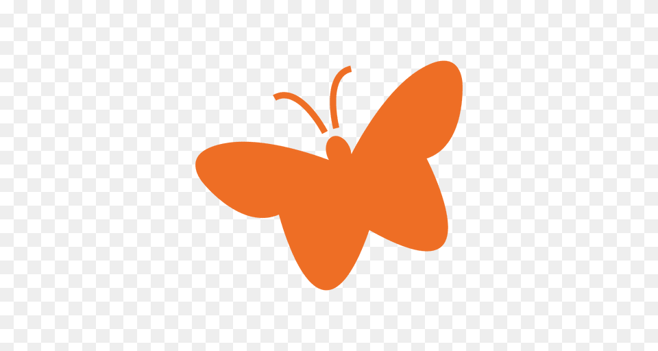 Flat St Patrick Butterfly, Flower, Plant, Animal, Fish Free Transparent Png