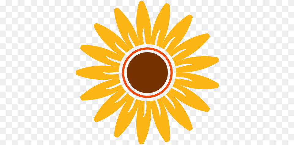 Flat Sunflower Head Illustration U0026 Svg Corel Draw X3 Flower Design, Daisy, Plant Png