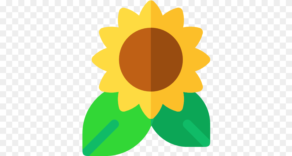 Flat Version Sunflower Icon, Flower, Plant, Person Free Png Download