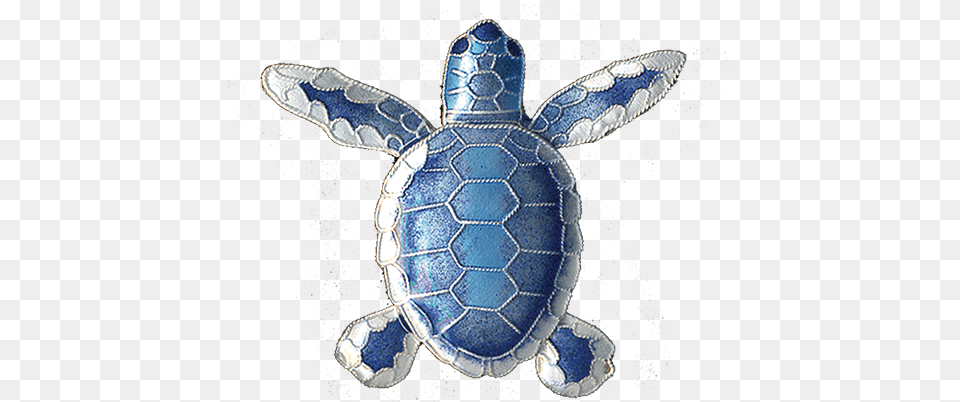 Flatback Hatchling Pin, Animal, Reptile, Sea Life, Sea Turtle Png Image