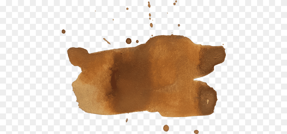 Flatworm, Clothing, Glove, Stain, Animal Free Transparent Png