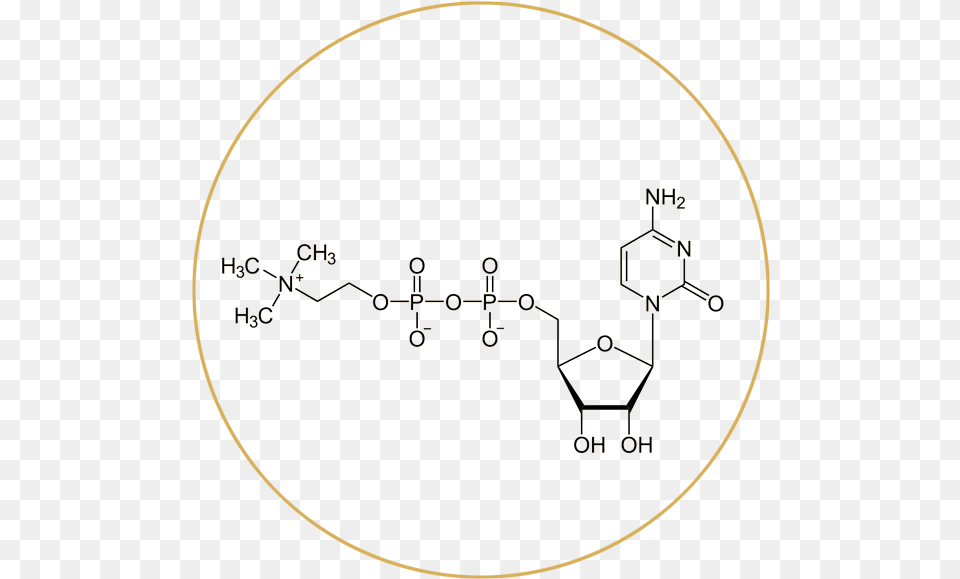 Flavin Adenine Nucleotide Structure, Nature, Outdoors Free Transparent Png