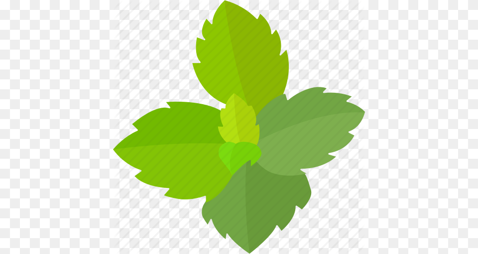 Flavor Flavoring Herb Leaves Mint Peppermint Spearmint Icon, Green, Herbs, Leaf, Plant Free Png Download