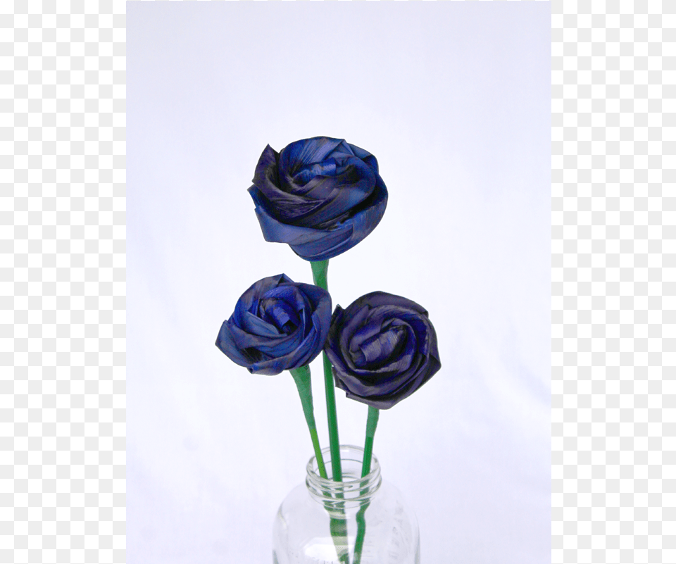 Flax Rose, Flower, Flower Arrangement, Flower Bouquet, Plant Free Transparent Png