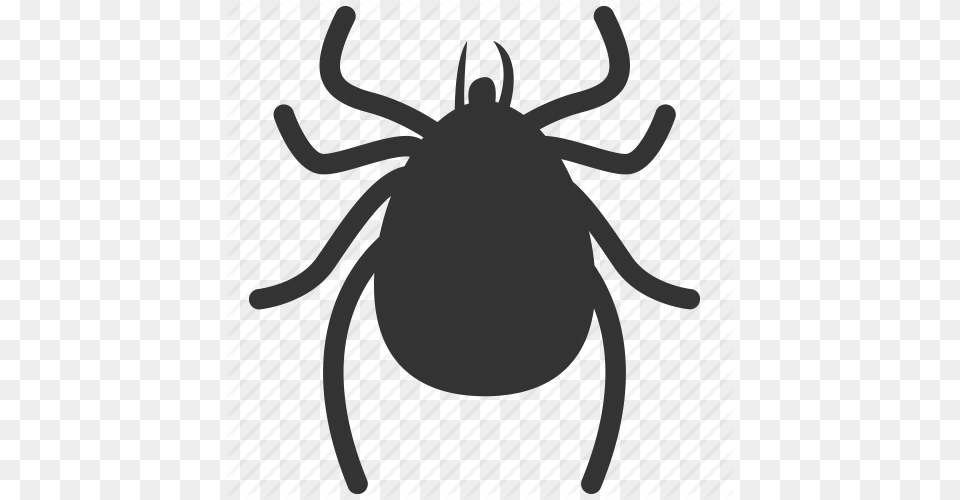 Flea Black And White Transparent Flea Black And White, Tick Png