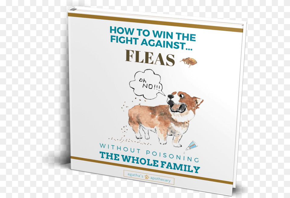 Flea Book Companion Dog, Advertisement, Poster, Animal, Bear Free Png Download