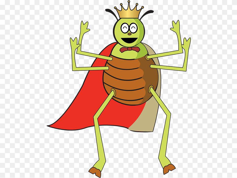 Flea Bug In A Crown, Animal, Baby, Person Free Png Download