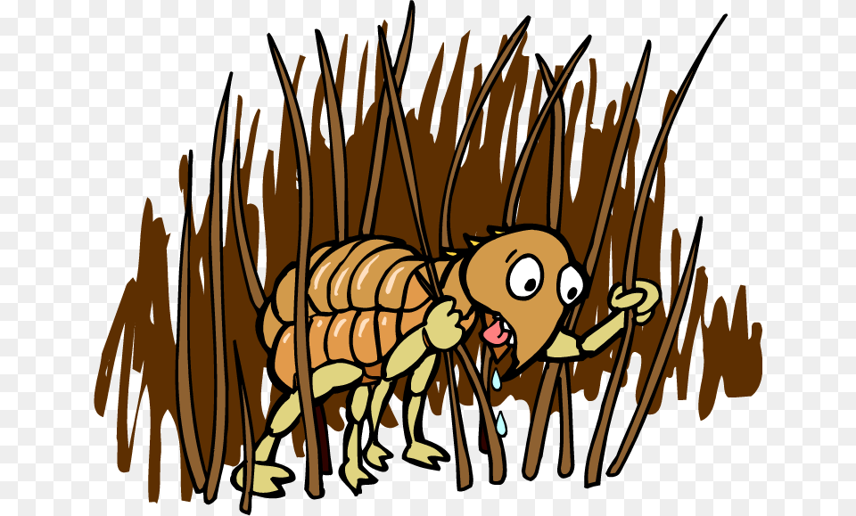 Flea Flea Transparent Cartoon, Baby, Person, Animal, Head Png