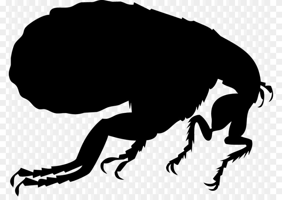 Flea High Quality Flea Silhouette, Animal, Insect, Invertebrate, Person Png Image