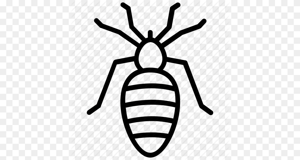 Flea Insect Pest Insect Sand Fleas Tick Icon, Animal, Bee, Invertebrate, Wasp Free Png