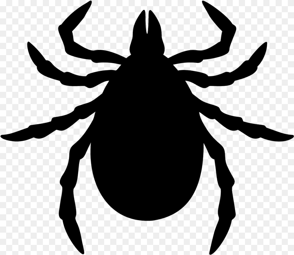 Fleas Amp Ticks Bug Tick Clipart, Gray Free Transparent Png