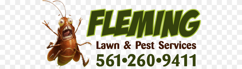 Fleming Lawn Amp Pest Services Coconut Creek, Animal, Insect, Invertebrate Free Transparent Png