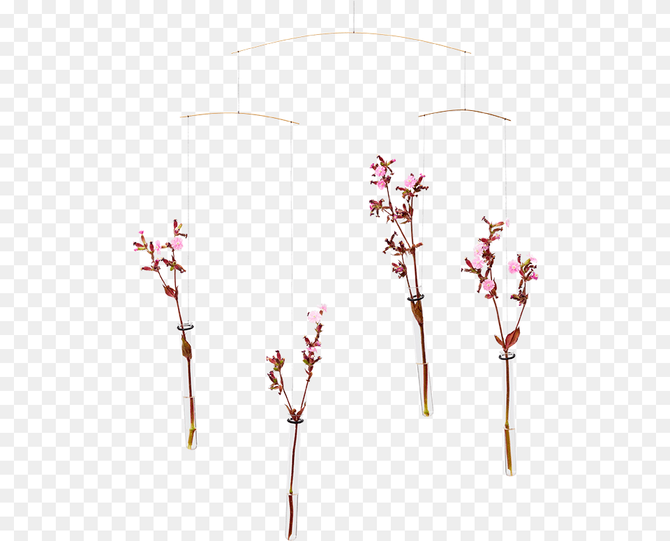 Flensted Mobiles Flying Flowers Mobile, Flower, Flower Arrangement, Plant, Ikebana Free Png