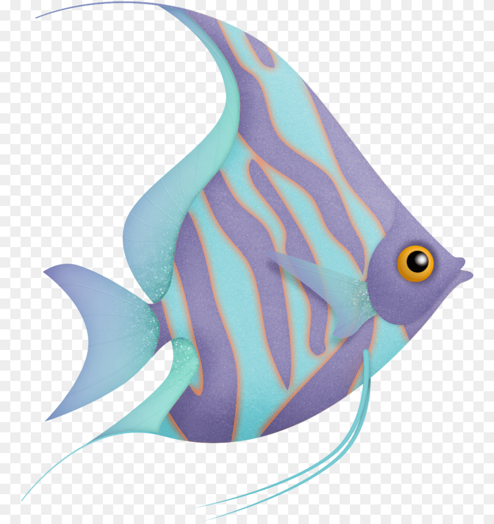 Flergs Mermaidcove Fish Clip Art, Angelfish, Animal, Sea Life, Bird Png Image