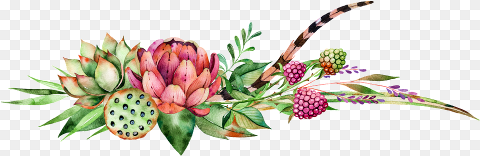 Fleshy Berries Lotus Watercolor Hd Watercolor Painting, Flower, Flower Arrangement, Plant, Flower Bouquet Png