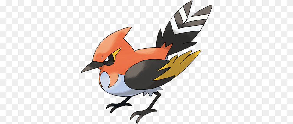 Fletchinder Pokemon Fletchinder, Animal, Beak, Bird, Finch Png Image