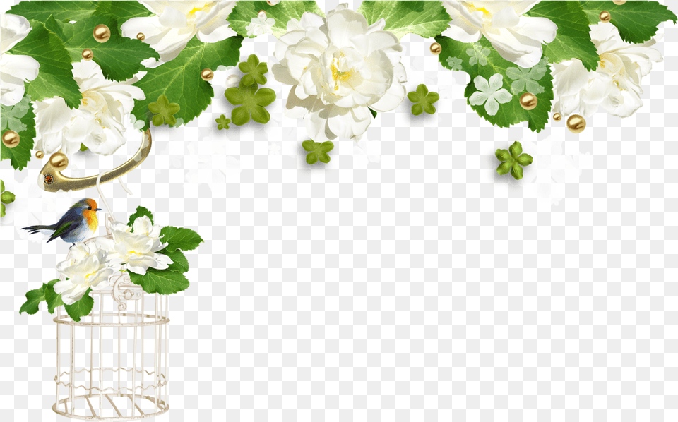 Fleurs De Printemps Bordure, Flower Arrangement, Plant, Geranium, Flower Free Transparent Png
