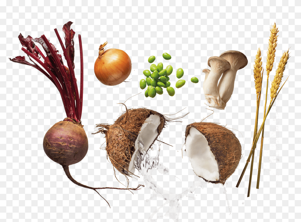 Flexitarian Coconut, Food, Produce, Fungus, Plant Free Png Download