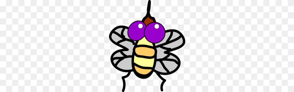 Flies, Animal, Bee, Honey Bee, Insect Free Transparent Png