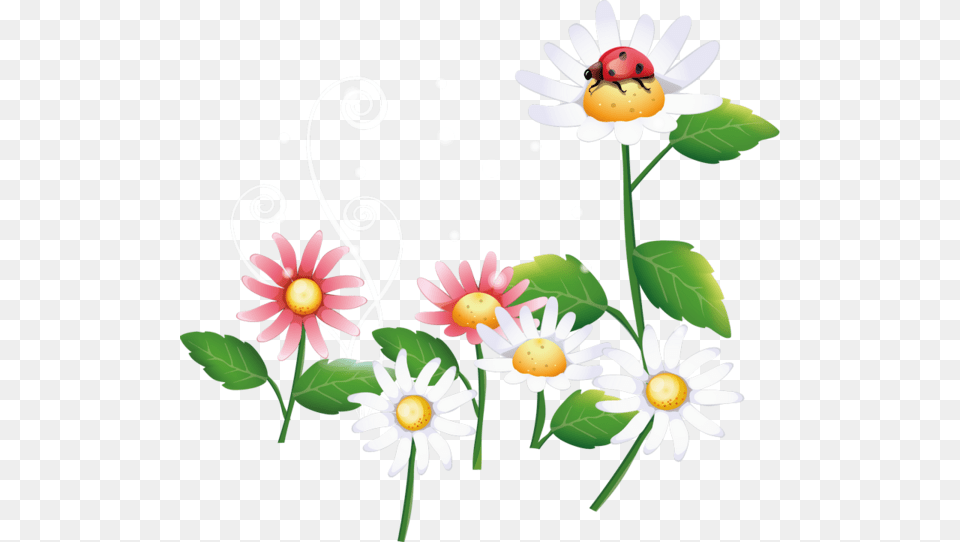 Flies Away Flower Clipart Illustration Ladybugs Vector Nature, Plant, Daisy, Pattern, Chandelier Png