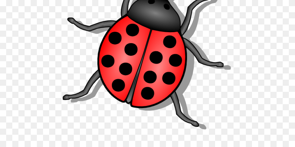 Flies Clipart, Animal Free Png