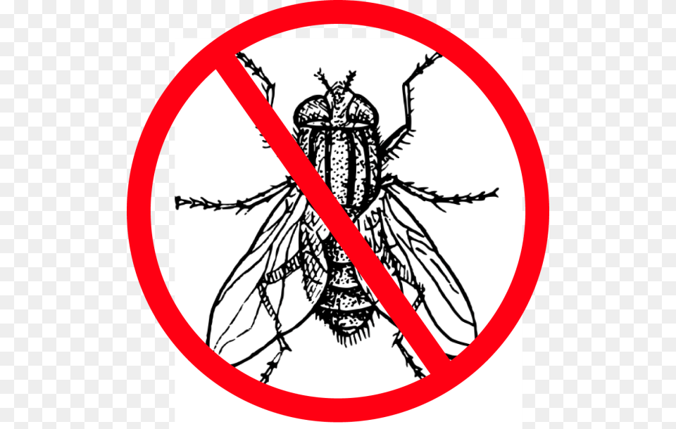 Flies Clipart Harmful Insect Fly Clipart Black And White, Animal, Bee, Invertebrate, Wasp Free Png