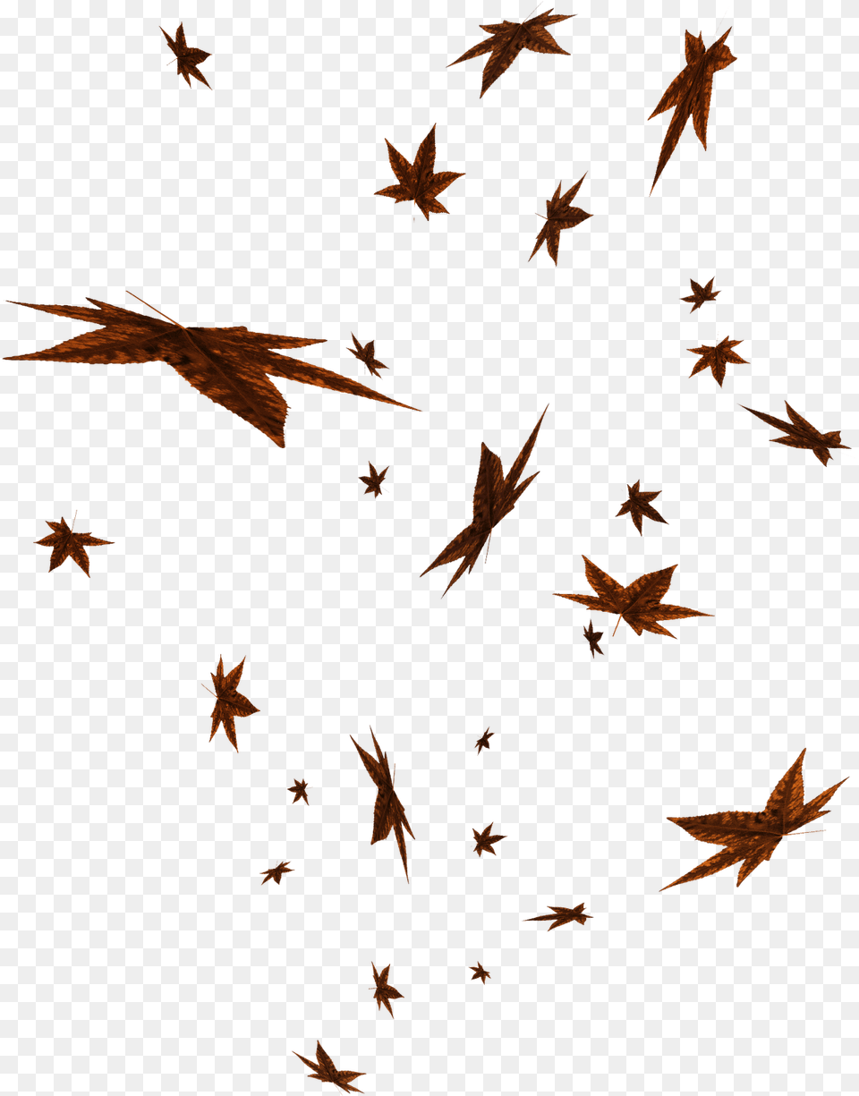 Flight, Leaf, Plant, Animal, Bird Png Image