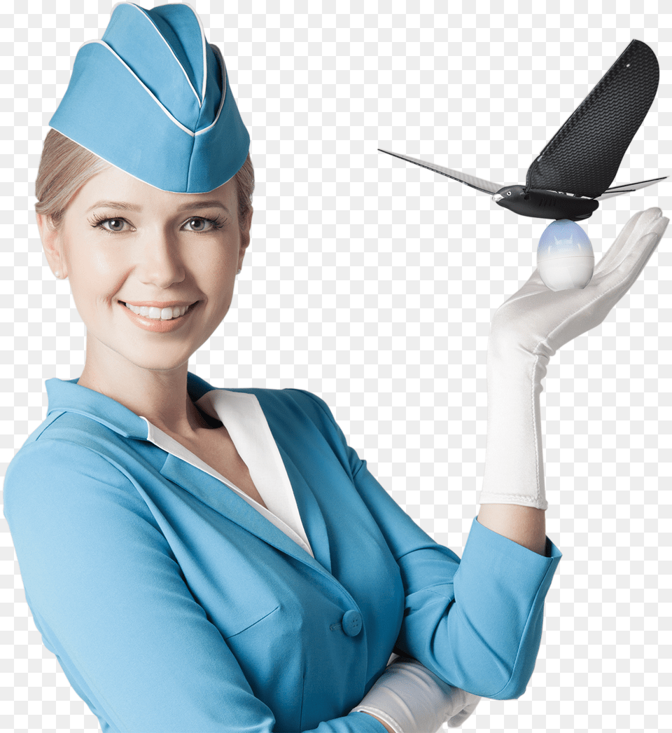 Flight Attendants In Transparent Backgrounds, Adult, Person, Female, Woman Png Image