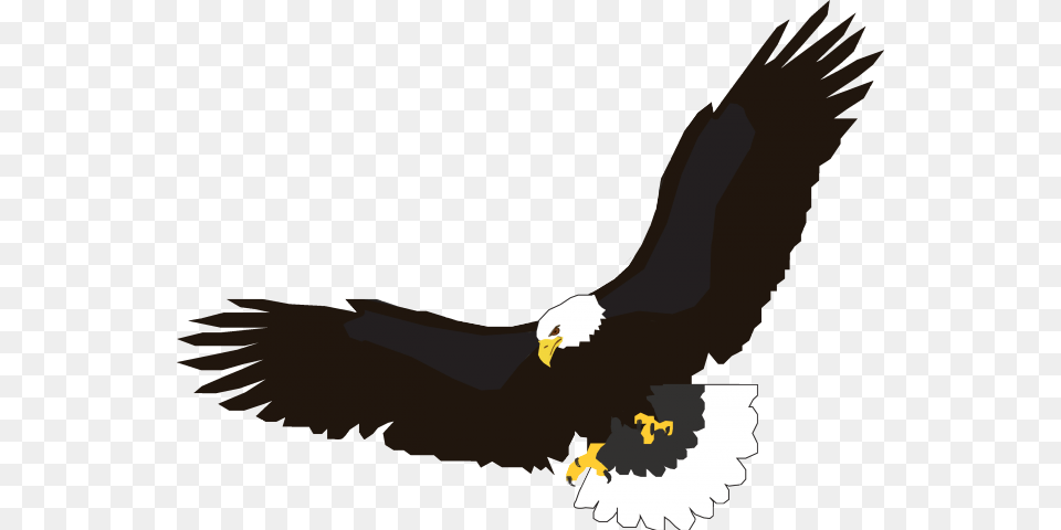 Flight Clipart Clip Art, Animal, Bird, Eagle, Bald Eagle Free Transparent Png