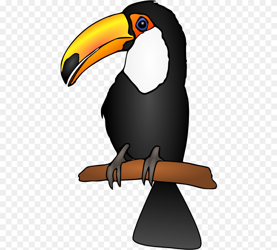 Flightless Birdbirdtoucan Toucan Clipart, Animal, Beak, Bird, Person Free Png