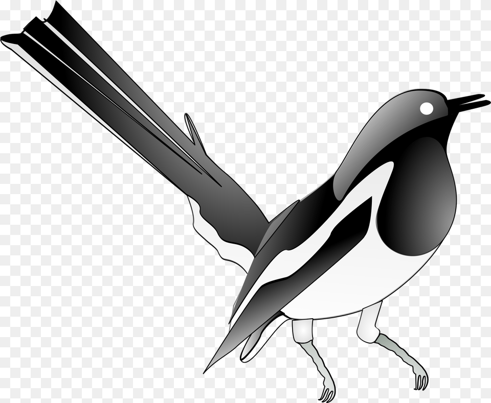 Flightless Birdeurasian Magpiebird Magpie Clip Art, Animal, Bird, Blade, Dagger Free Png Download