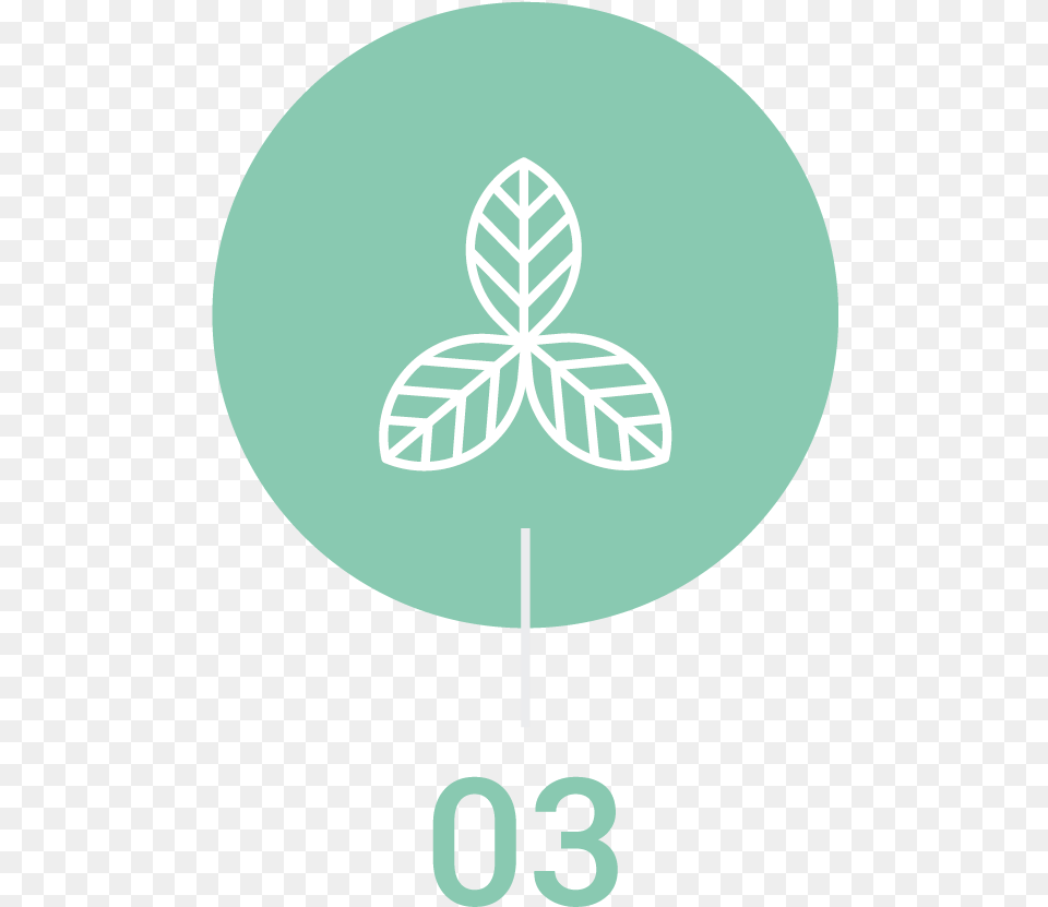 Flightnook Step3 Emblem, Leaf, Plant, Text, Symbol Free Transparent Png