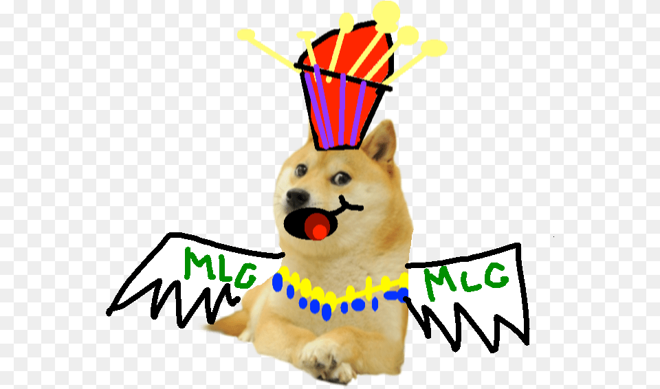 Fliing King Doge Doge Meme Transparent, Animal, Mammal, Dog, Pet Free Png