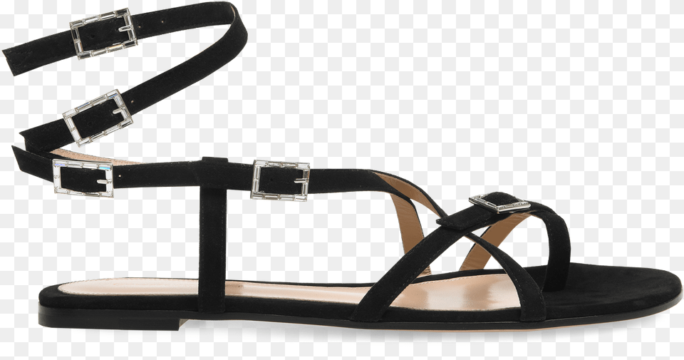 Flip Flops, Clothing, Footwear, Sandal Png