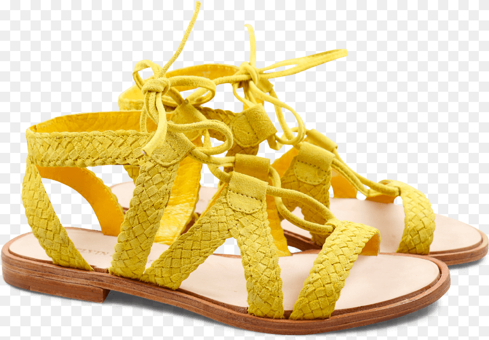 Flip Flops, Clothing, Footwear, Sandal Free Transparent Png