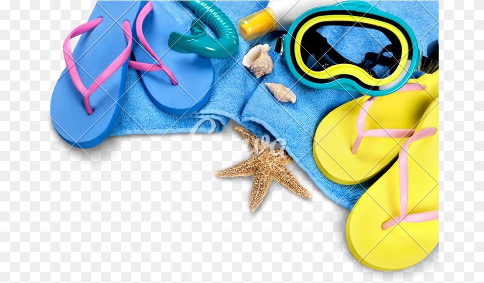 Flip Flops Towel Sun Cream Diving Mask And Seashells Marine Invertebrates, Clothing, Flip-flop, Footwear Free Png
