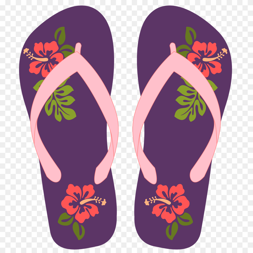 Flipflops Icons, Clothing, Flip-flop, Footwear Png Image