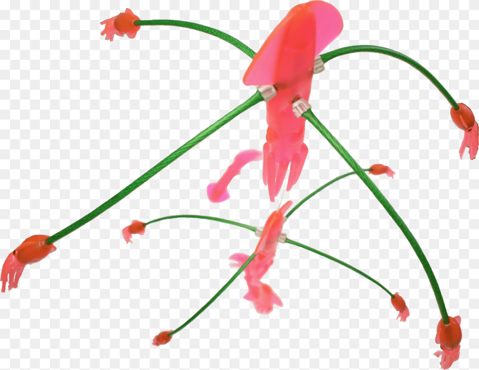 Flippy Flappy Floppy Saltwater Daisy Chain Eat My Tackle, Anther, Flower, Petal, Plant Png