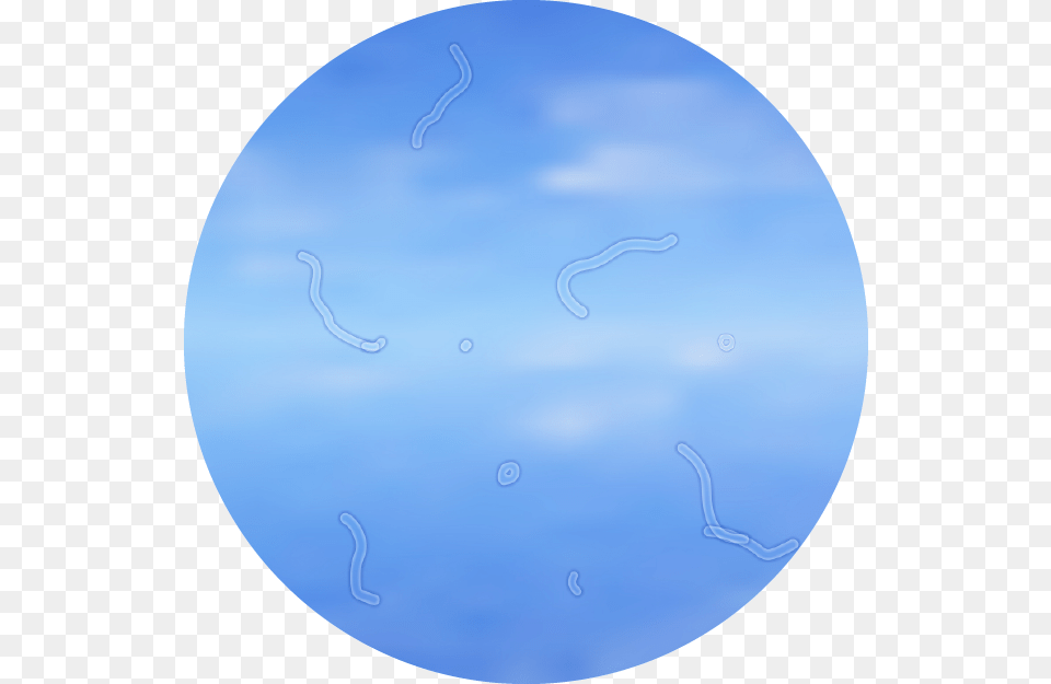 Floaters Sea, Sphere, Nature, Outdoors, Water Png