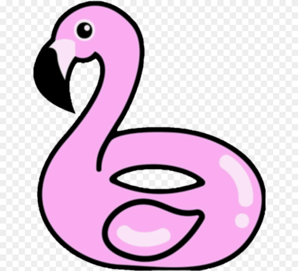 Floaties Sticker, Animal, Bird, Flamingo, Text Free Png Download