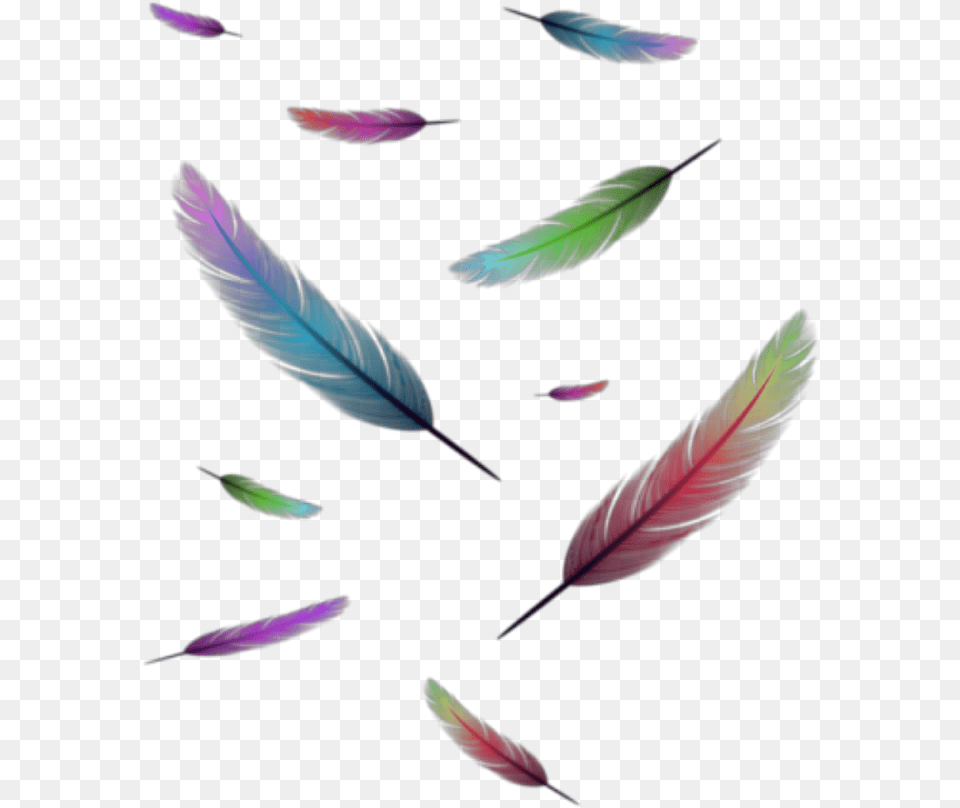 Floating Feathers Floating Colourful Feather, Pattern, Purple, Art, Graphics Png