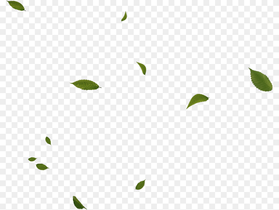 Floating Green Leaves Green Effects Free Png Download