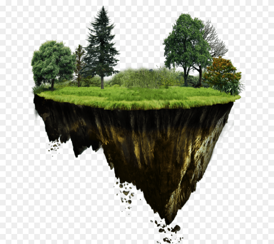 Floating Island Fantasy, Water, Tree, Pond, Plant Free Png