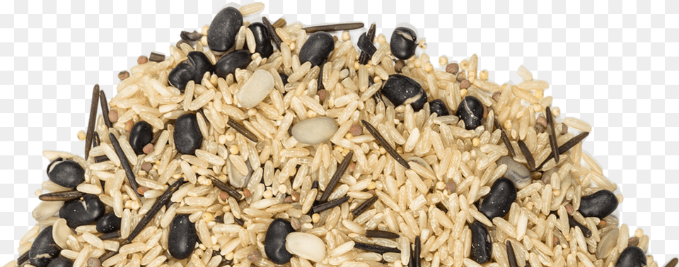 Floating Leaf Sprouted Black Beans Amp Organic Brown Sprouting, Food, Grain, Produce, Rice Png Image