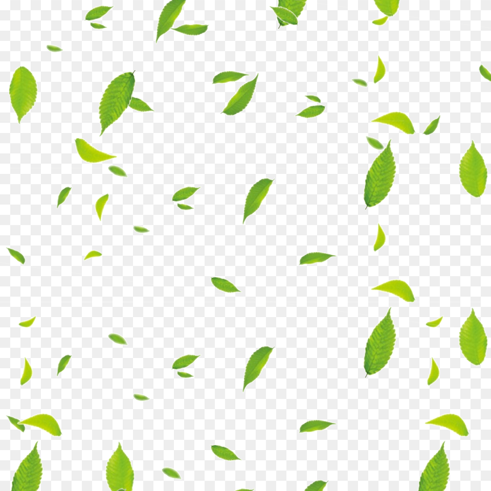 Floating Leaves Vector Download On Heypik, Leaf, Plant, Paper, Pattern Png